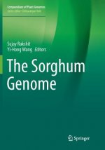 Sorghum Genome