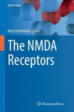 NMDA Receptors