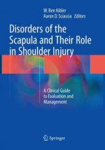 Disorders of the Scapula and Their Role in Shoulder Injury