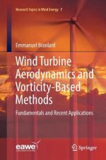 Wind Turbine Aerodynamics and Vorticity-Based Methods