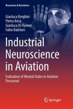 Industrial Neuroscience in Aviation