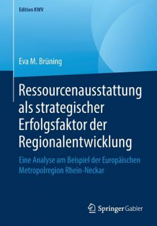 Ressourcenausstattung ALS Strategischer Erfolgsfaktor Der Regionalentwicklung