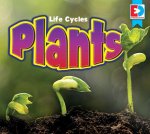 Life Cycles Plants Life Cycles Plants