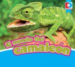 El Mundo del Camaleon