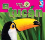 Animales de la Selva Amazonica El Tucan