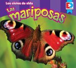 Los Ciclos de Vida Las Mariposas