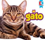 Mi Gato