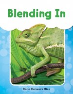 Blending in (Grade 1)