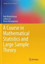 Course in Mathematical Statistics and Large Sample Theory