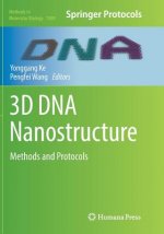 3D DNA Nanostructure