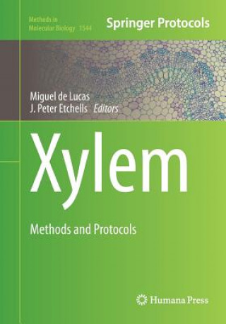 Xylem