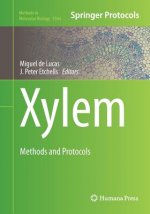 Xylem