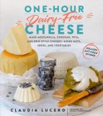One Hour Dairy Free Cheese