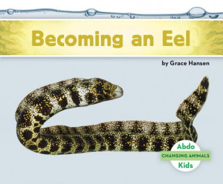 Becoming an Eel