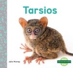 Tarsio Fantasma (Tarsiers)