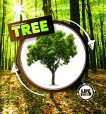 Life Cycle of a Tree