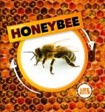 Life Cycle of a Honeybee