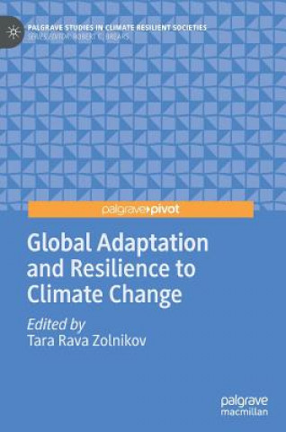 Global Adaptation and Resilience to Climate Change