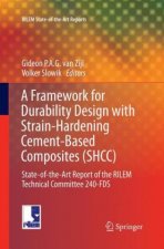 Framework for Durability Design with Strain-Hardening Cement-Based Composites (SHCC)