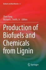 Production of Biofuels and Chemicals from Lignin