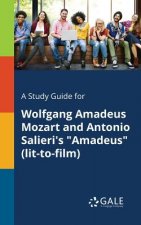 Study Guide for Wolfgang Amadeus Mozart and Antonio Salieri's Amadeus (lit-to-film)