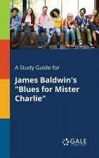Study Guide for James Baldwin's Blues for Mister Charlie