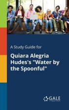 Study Guide for Quiara Alegria Hudes's Water by the Spoonful