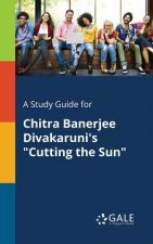 Study Guide for Chitra Banerjee Divakaruni's Cutting the Sun
