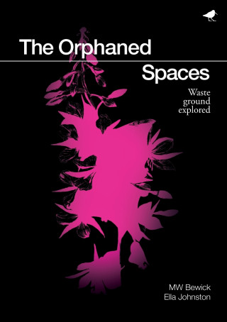 Orphaned Spaces