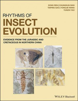 Rhythms of Insect Evolution - Evidence from the Jurassic and Cretaceous in Northern China