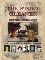 Story Gleaner