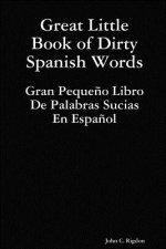 Great Little Book of Dirty Spanish Words