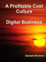 Profitable Cost Culture - Digital Business