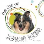 Life of Jorja Bear