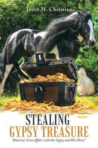 Stealing Gypsy Treasure (Joyce M Christian)(Miękka)