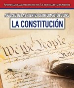 An lisis de Las Fuentes de Informaci n Sobre La Constituci n (Analyzing Sources of Information about the Constitution)
