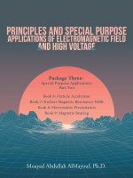 Principles and Special Purpose Applications of Electromagnetic Field and High Voltage