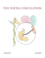 Foetal Circulation