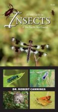 Field Guide to Insects of the Pacific Northwest