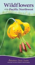 Wildflowers of the Pacific Northwest