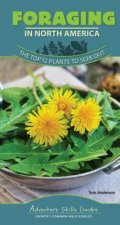 Foraging in North America