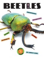 Beetles