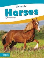 Animals: Horses