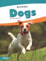 Animals: Dogs