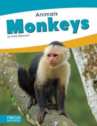 Animals: Monkeys