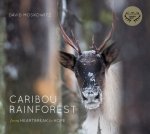 Caribou Rainforest: From Heartbreak to Hope