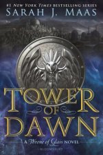 TOWER OF DAWN