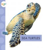 Sea Turtles
