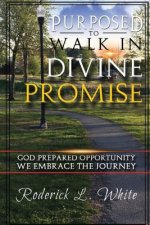 Purposed To Walk In Divine Promise: God Prepared Oppurtunity We Embrace The Journey