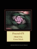 Fractal 675
